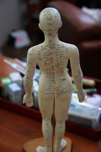 Acupuncture Model Ventura